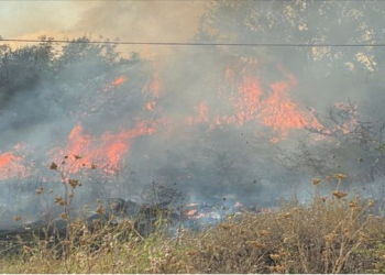 Shqipëria “nën pushtetin” e flakëve, si po neutralizohen vatrat aktive nga Greqia