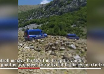 Asgjësohen rreth 5 mijë bimë narkotike, policia: Ja në cilat qarqe ishte mbjellë