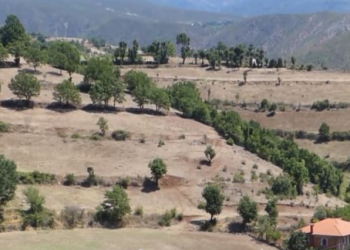 Mungon uji vaditës në Dragostunjë, fermerët: Na janë tharë prodhimet