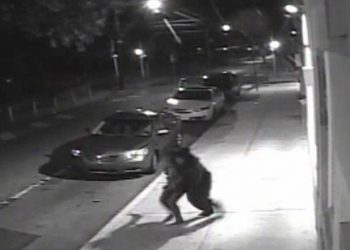 E rëndë/ 18-vjeçarja rrëmbehet dhe torturohet, pengmarrësit ia presin flokët dhe e hedhin në rrugë