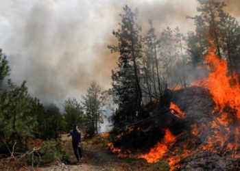 Shqipëria në flakë/ Raportohen 25 vatra zjarri në vetëm 24 orë