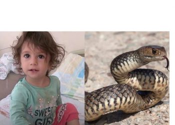 E kafshoi gjarpri, 2-vjeçarja i ngul dhëmbët në shenjë hakmarrjeje