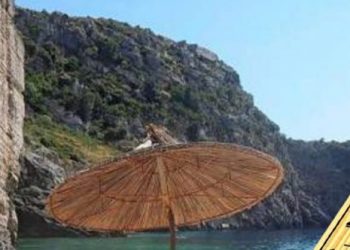 Rikthehen temperaturat e larta, ja çfarë pritet të ndodh javën e ardhshme