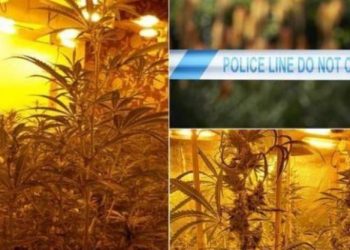 Shqiptari kapet i fshehur në papafingon e shtëpisë së barit, dënohet me 20 muaj burg (EMRI)