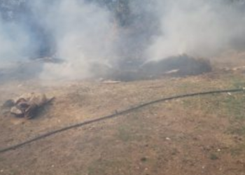 Zjarr masiv në fshatrat e Memaliajt, flakët rrezikojnë banesat (FOTO)