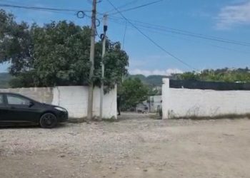 Përplasi për vdekje 25-vjeçaren në oborrin e shtëpisë, shoferi nën efektin e drogës