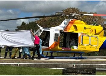 Plas arma, ndërrojnë jetë tre persona