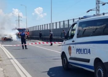 Bilanc lufte në Shqipëri, kush janë 47 personat që u vranë gjatë këtij viti?