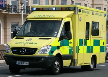 E rëndë/ 9-vjeçarja qëllohet për vdekje me armë brenda shtëpisë së saj