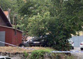 Sherri familjar kthehet në tragjedi, 34-vjeçari vret 10 persona