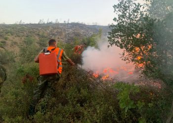 Nuk kanë fund zjarret në vend, shtatë vatra vetëm në Malësinë e Madhe