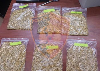 Shitën 200 mijë euro ar të rremë, pas dy pensionistëve italianë, arrestohet dhe një i tretë