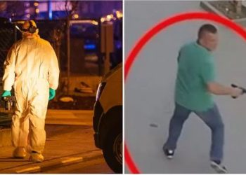 “Alfa Romeo” tek Çapja/ Merret në pyetje dhe “Rori”, Bledar Muça i bëri dhuratë servisin