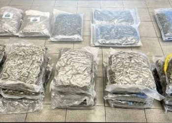 Zbardhen detaje nga kapja e 1 ton droge, lënda narkotike që u nis nga Vlora do përdorej për…