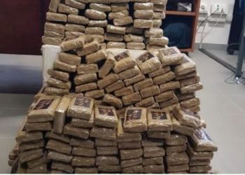 Trafiku i drogës, ekspertët e huaj: Shqiptarët, aftësi të jashtëzakonshme për të korruptuar zyrtarët