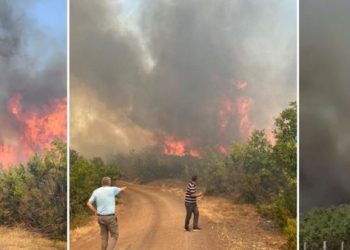 Vendi në flakë/ Zjarri përfshinë Mirditën, rrezikohen banesa dhe vreshta