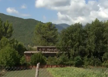 U fut nga Porti i Durrësit, ky është ukrainasi që u kap me dy rusët në Uzinën e Gramshit