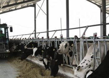 Bizneset në “mbijetesë” përballë rritjes së kostove