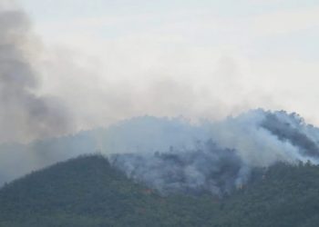 Mbulohet nga flakët mali në Rrubik, terreni i thyer vështirëson punën e zjarrfikësve (FOTO)