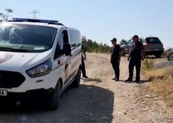 Plagosja në Fushë-Krujë, sherri për ullishtet përfundoi me përdorim armësh