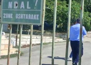 Ukrainasja që jeton në Shqipëri: Ukrainasi që shoqëronte rusët në Gramsh, tradhtar