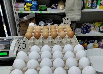 Shtrenjtohet me 14% çmimi i vezës nga mungesa e prodhimit, pritet të shkojë 40 lekë kokrra