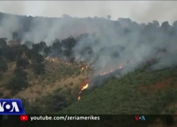 Menaxhimi i zjarreve në Shqipëri, VOA: Bashkitë janë përgjegjëset kryesore