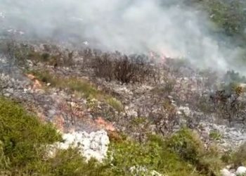 “Përvëlohet” Palasa, forcat zjarrfikëse betejë me flakët