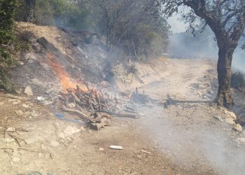 Zjarr masiv në fshatrat e Memaliajt, flakët rrezikojnë banesat (FOTO)