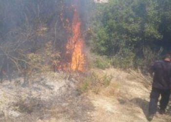 E rrezikshme/ Zjarri përfshin kabinën elektrike në Memaliaj, shkrumbohen…