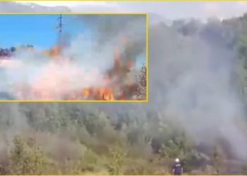 Përfshihen nga zjarri pishat në Pyllin e Sodës, zjarrfikëset tentojnë të shuajnë flakët