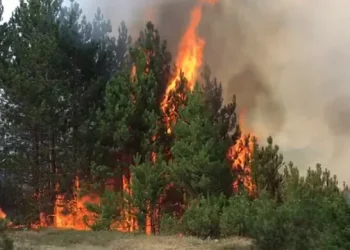 Aktivizohen dy vatra zjarri në Gjirokastër, zjarrfikësit në vendngjarje