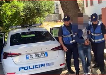I vodhi çantën turistes çeke, arrestohet 54-vjeçari në Tepelenë