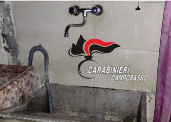 Tronditëse/ 67-vjeçarja “burgoset” për 22 vite nga vëllai dhe kunata, ja si shpëtoi