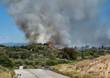 Shpërthen zjarr i madh në vendin fqinj, rrezikohen banesat (VIDEO)
