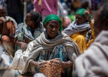 Lufta në Ukrainë, OKB: Faktor që po nxit uri në botë