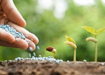 Tregtimi për shitjen e pesticideve, Ministria harton planin e veprimit për rregullat e reja