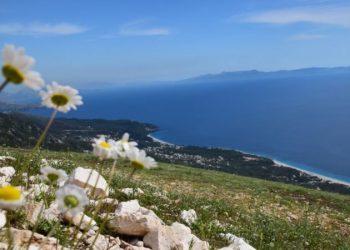 Qeveria jep sërish tokë në bregdetin e Jugut për fshat turistik, ‘investitori strategjik’ e përfiton me 1 euro qiranë