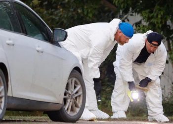 Plas sherri me thika, 10 të vrarë dhe 15 të plagosur