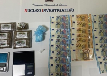 Trafikonte drogë, arrestohet shqiptari në Itali