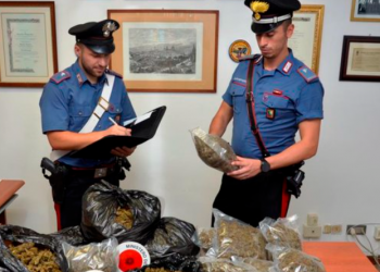 I dëbuar për trafik lëndësh narkotike, kapet shqiptari me 60 mijë euro drogë