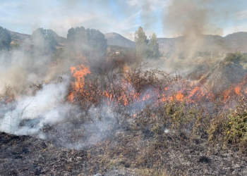 Zjarri shkrumbon 5 hektarë tokë në Baban të Devollit, dyshimet e para