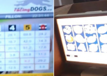 Ushtronin lojërat e fatit, arrestohen 3 persona në Tiranë