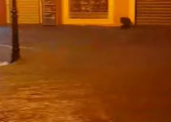 Reshjet e shiut përmbysin Shkodrën gjatë natës