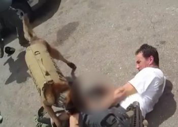 Polici ekzekuton 49-vjeçarin pasi tentoi t’i vriste qenin