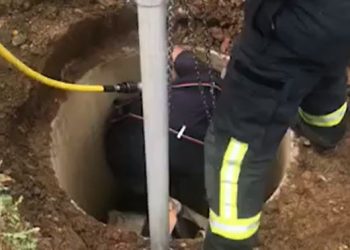 Video/ Kishte rënë në pusetë, zjarrfikësit shpëtojnë lopën