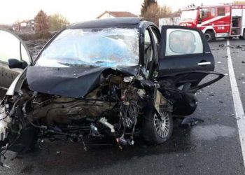 Aksident tragjik në Greqi, shqiptari humb jetën pasi përplaset me pemën