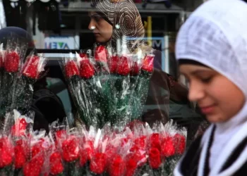 Ministria izraelite pranon të huajt në Bregun Perëndimor të gjejnë dashurinë (FOTO)