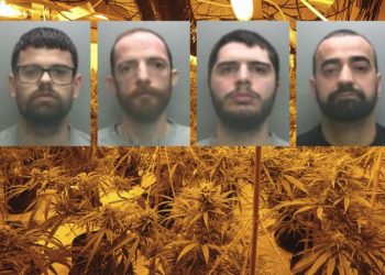 Ruanin kanabis me vlerë 1.6 mln paund, katër shqiptarët kapen mat duke gatuar makarona