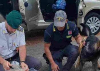 Zbardhen detaje nga tregtari shqiptar i makinave në Itali, ja si u kap me 42 kg drogë